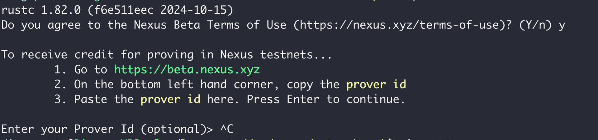 CLI Prover ID prompt showing instructions to copy the prover ID from beta.nexus.xyz